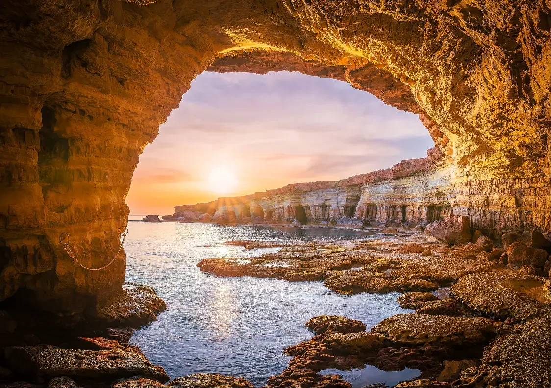 Excellent Location img